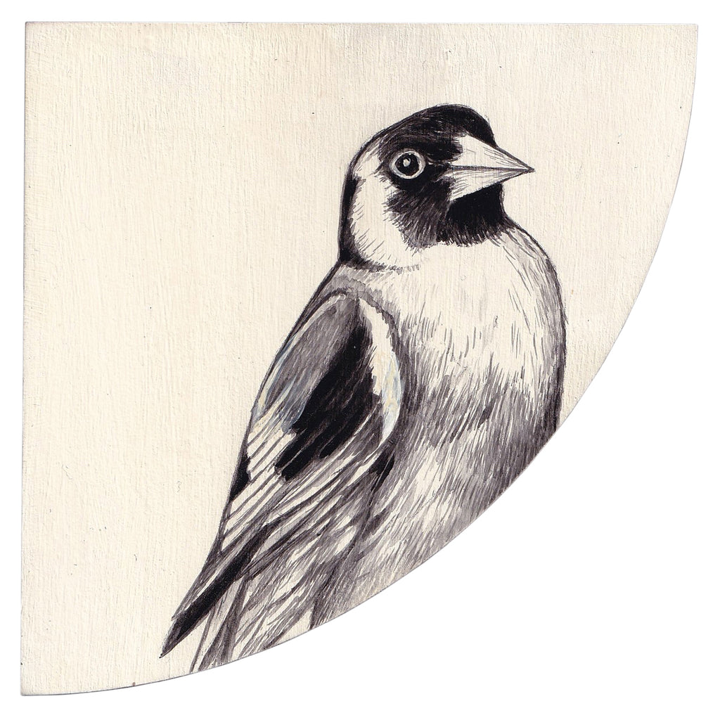 GOLDFINCH #3 by Tabatha Forbes
