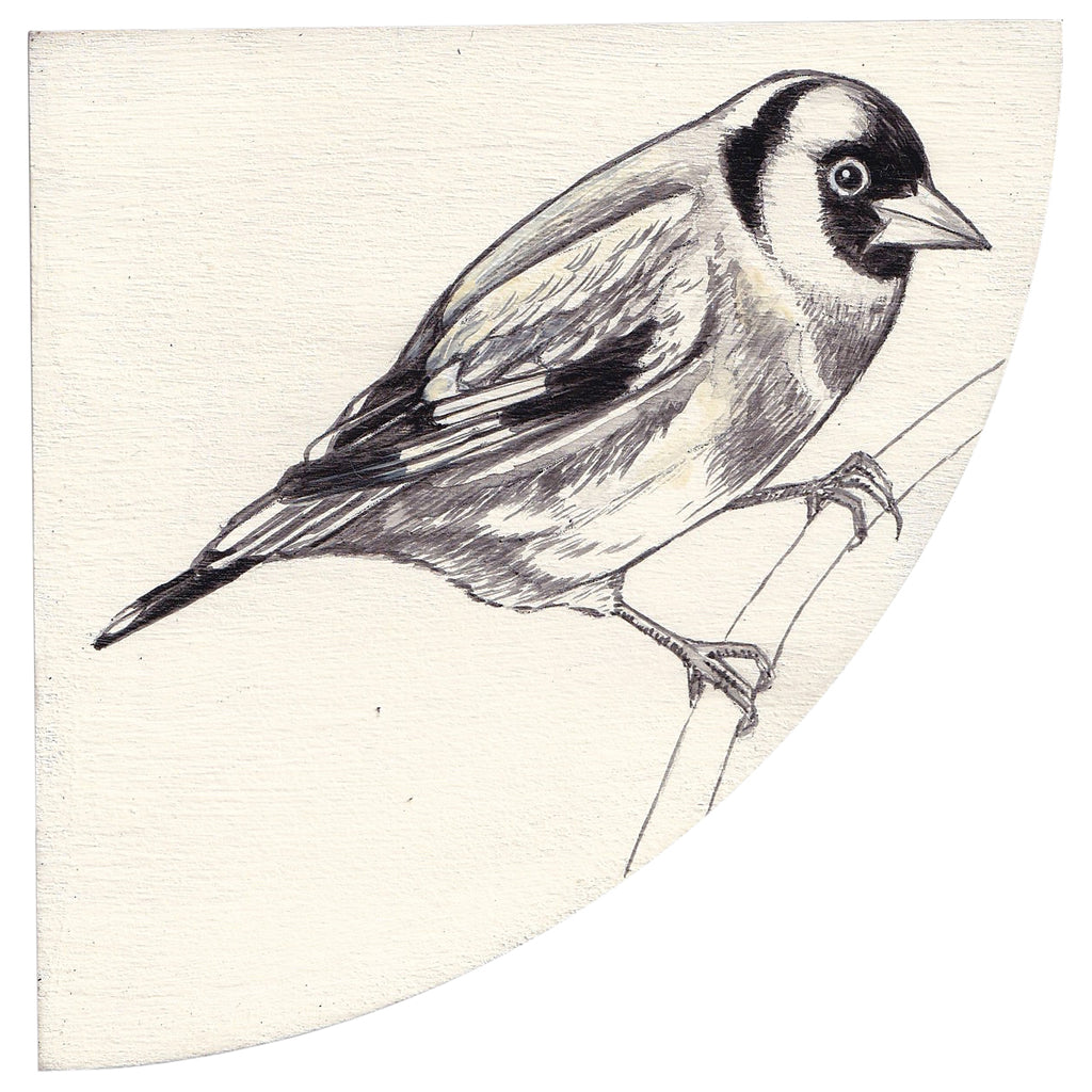 GOLDFINCH #5 by Tabatha Forbes