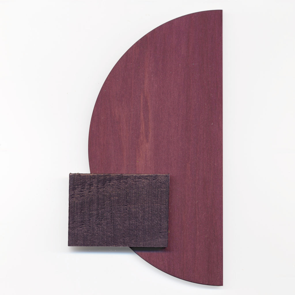 Jacaranda by Ainsley O'Connell