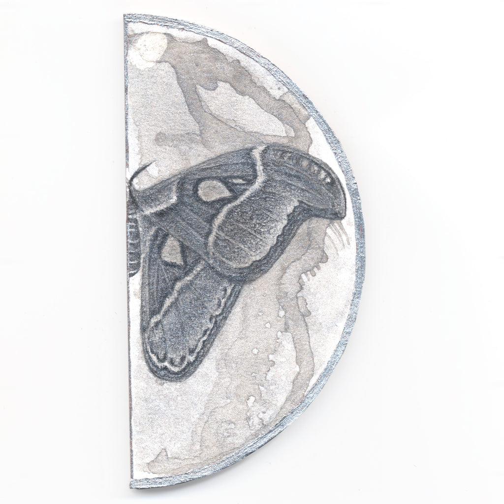 Tea + Silver by Gillian Buckley