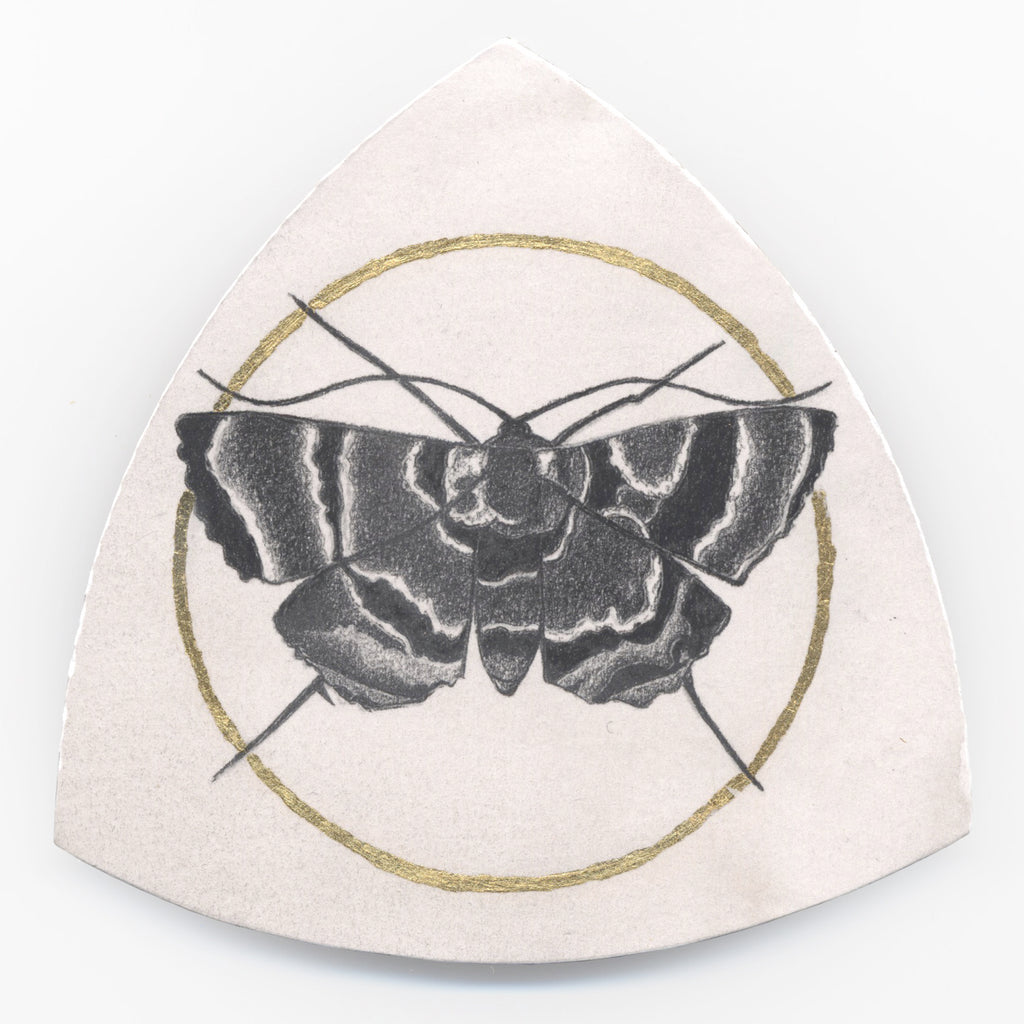 The odd moth by Gillian Buckley
