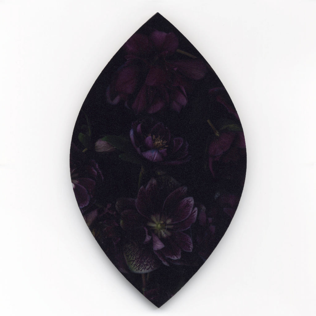 1. Black Hellebores by Helen Bankers