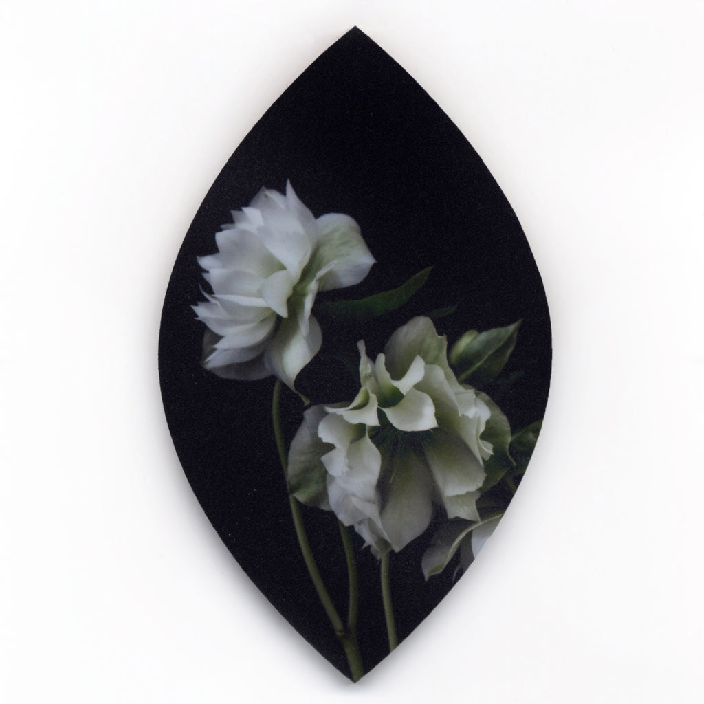 7. White Hellebores Posy by Helen Bankers