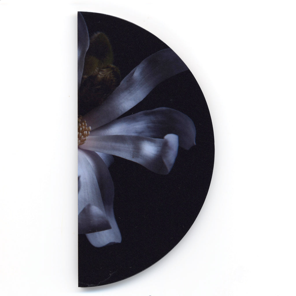 In the Dark Night 10 by Helen Bankers