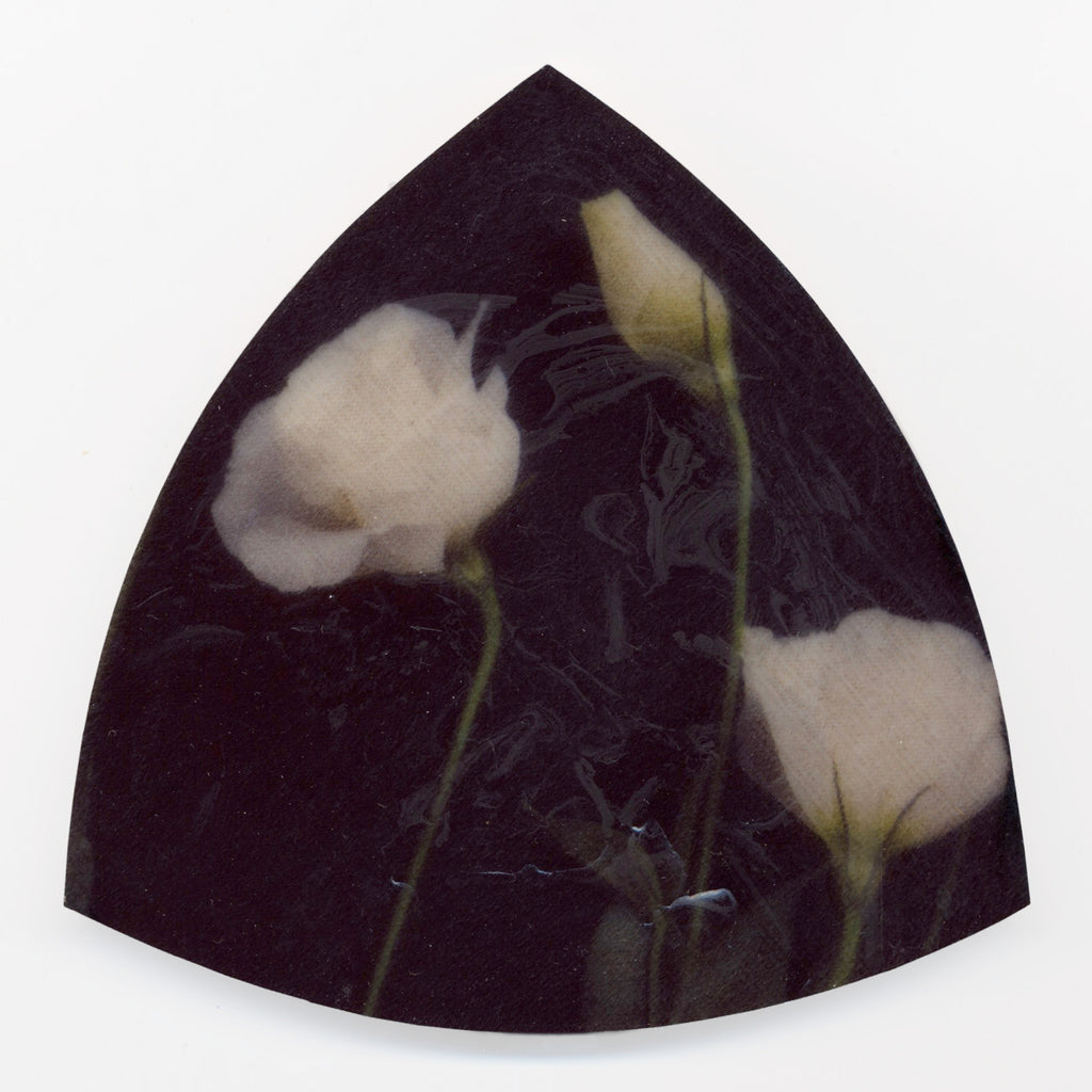 Velvet Underground #4 by Helen Bankers