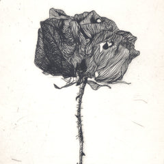 Roses are Red Pt 1.4 by Tracey Black