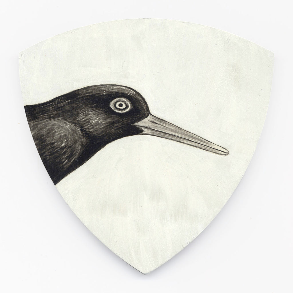 Variable oystercatcher Torea-pango by Tabatha Forbes