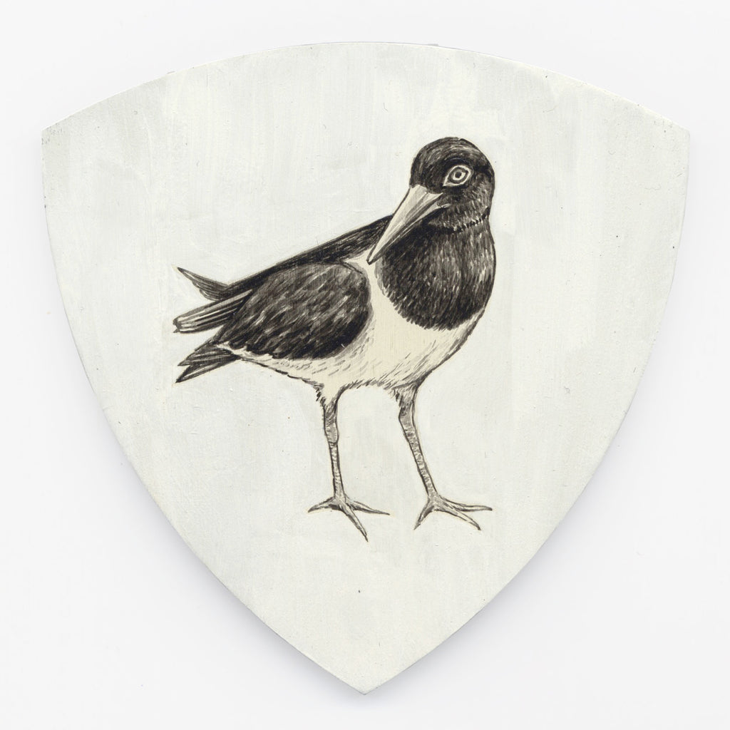 Variable oystercatcher Torea-pango by Tabatha Forbes