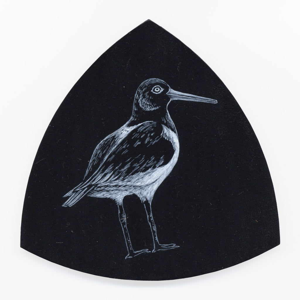 Variable oystercatcher Torea-pango No.10 by Tabatha Forbes