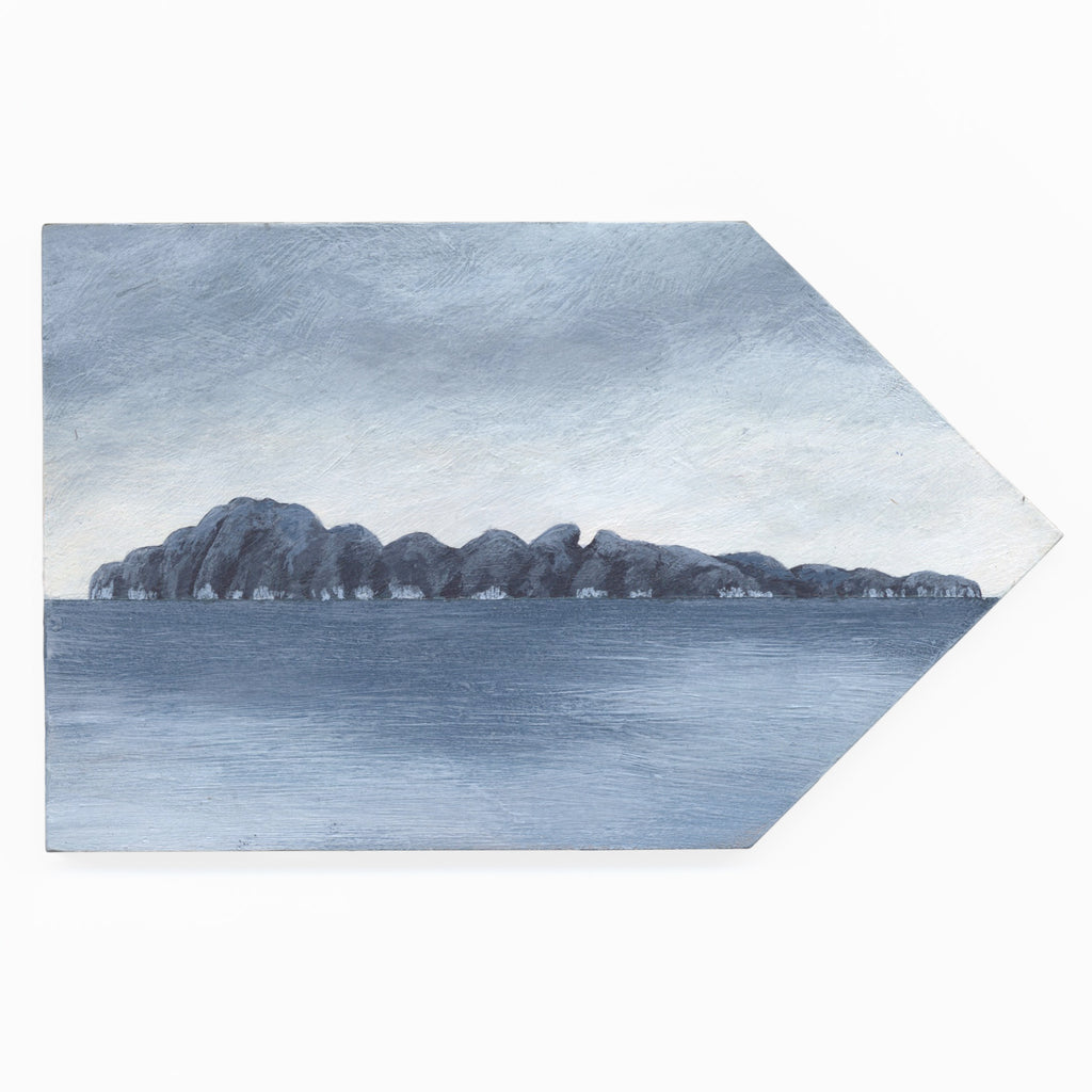 Tuhua (Mayor Island) 1 by Kylie Rusk