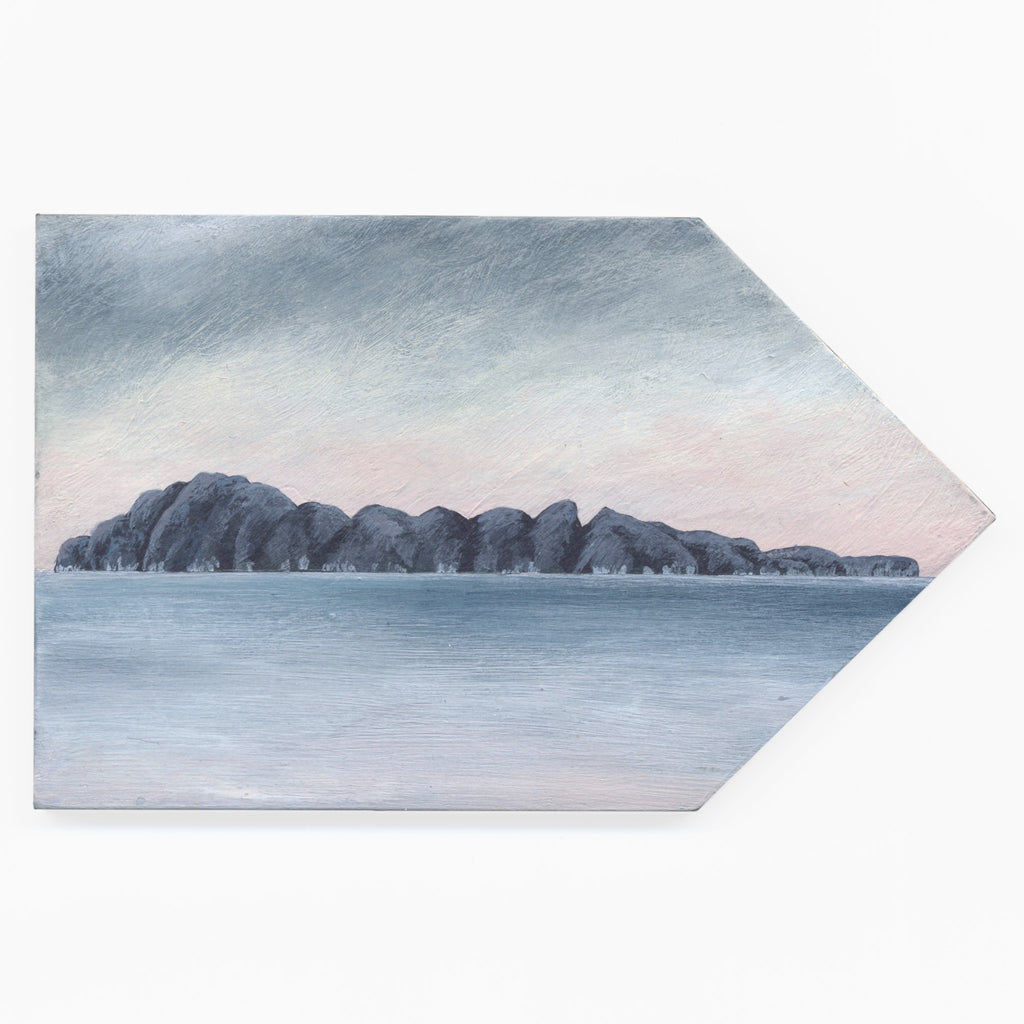Tuhua (Mayor Island) 5 by Kylie Rusk