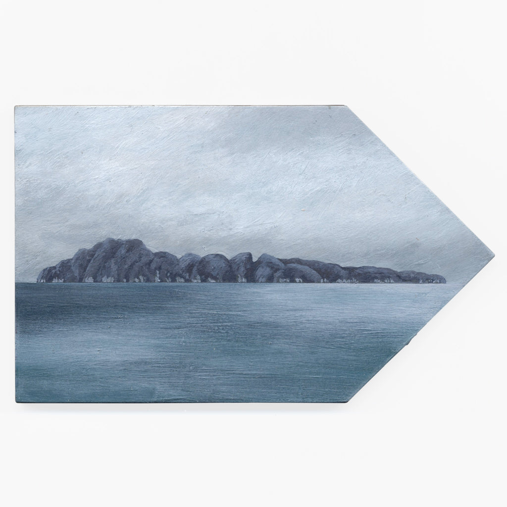 Tuhua (Mayor Island) 6 by Kylie Rusk