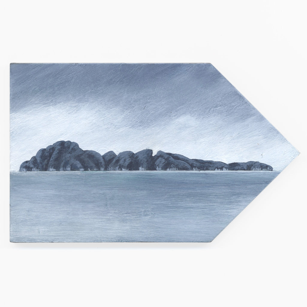 Tuhua (Mayor Island) 8 by Kylie Rusk