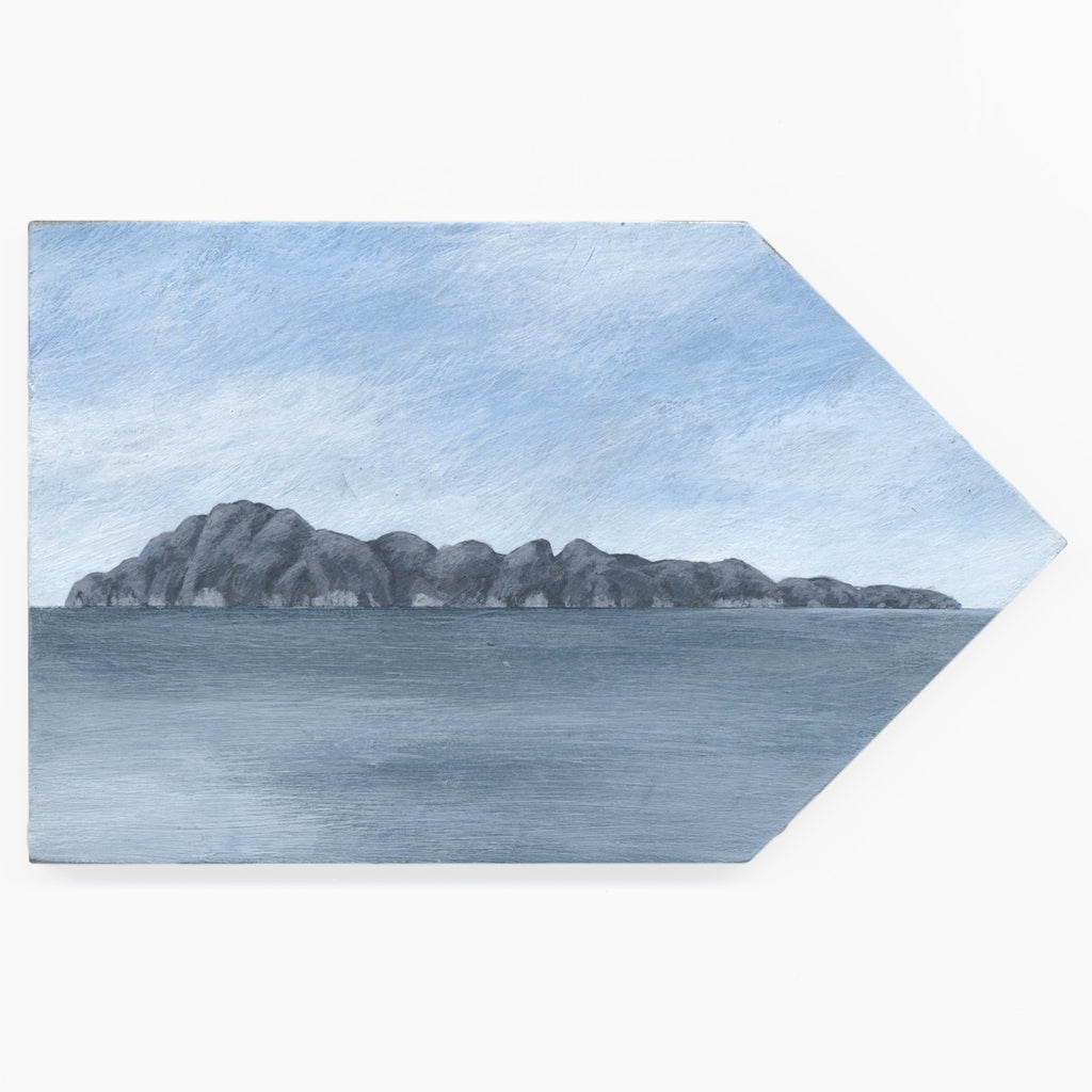 Tuhua (Mayor Island) 9 by Kylie Rusk