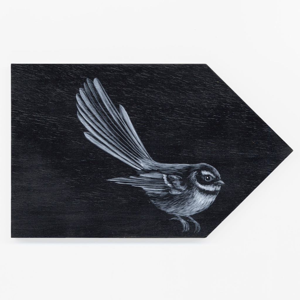 NZ Fantail / Piwakawaka #5 by Tabatha Forbes