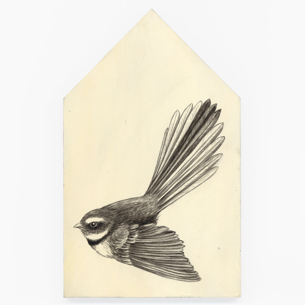 NZ Fantail / Piwakawaka #6 by Tabatha Forbes