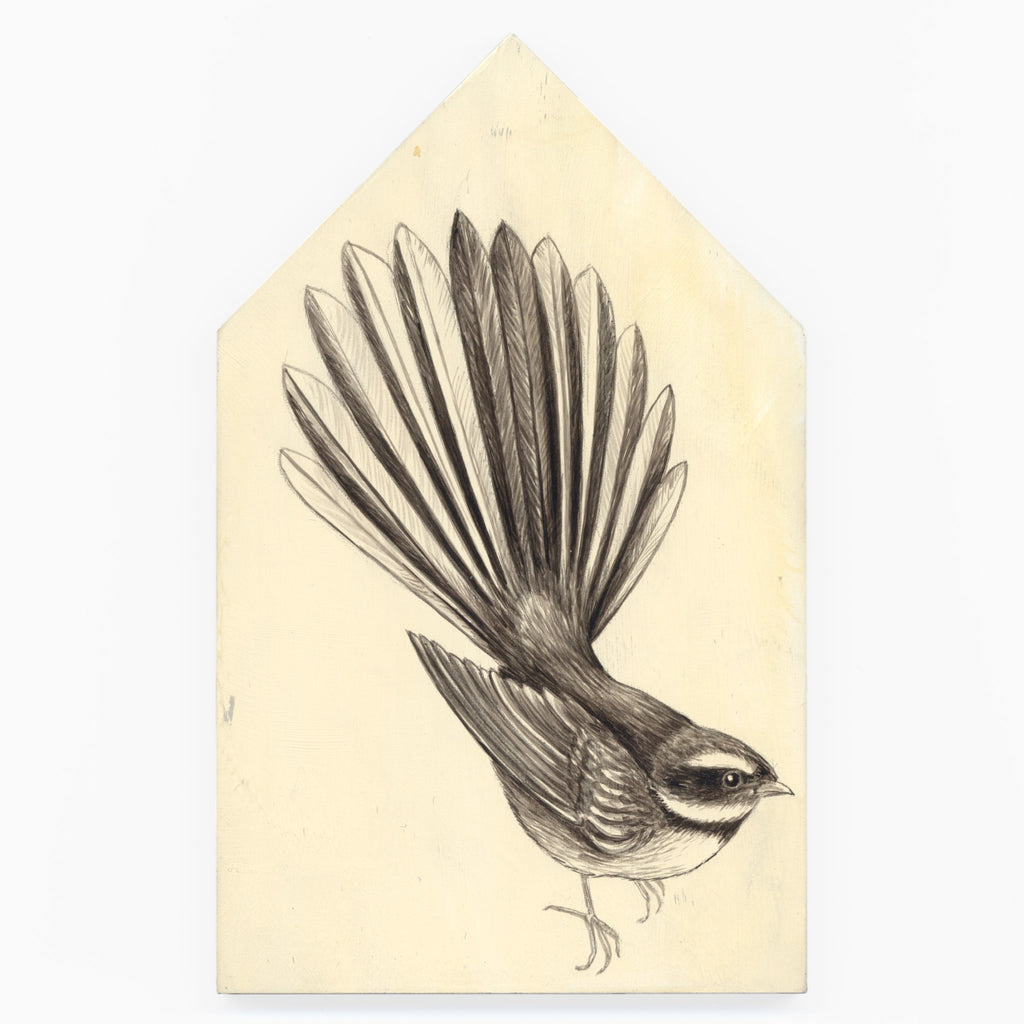 NZ Fantail / Piwakawaka #7 by Tabatha Forbes