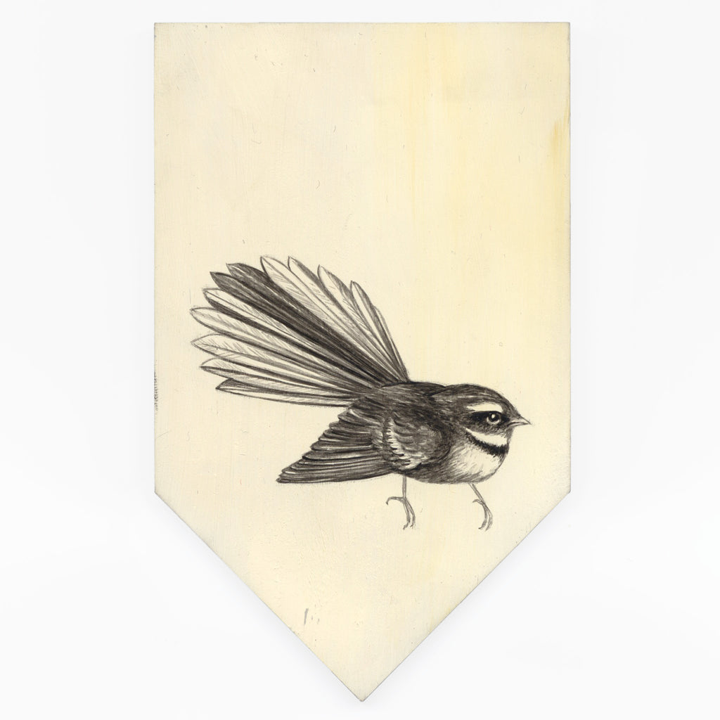 NZ Fantail / Piwakawaka #8 by Tabatha Forbes