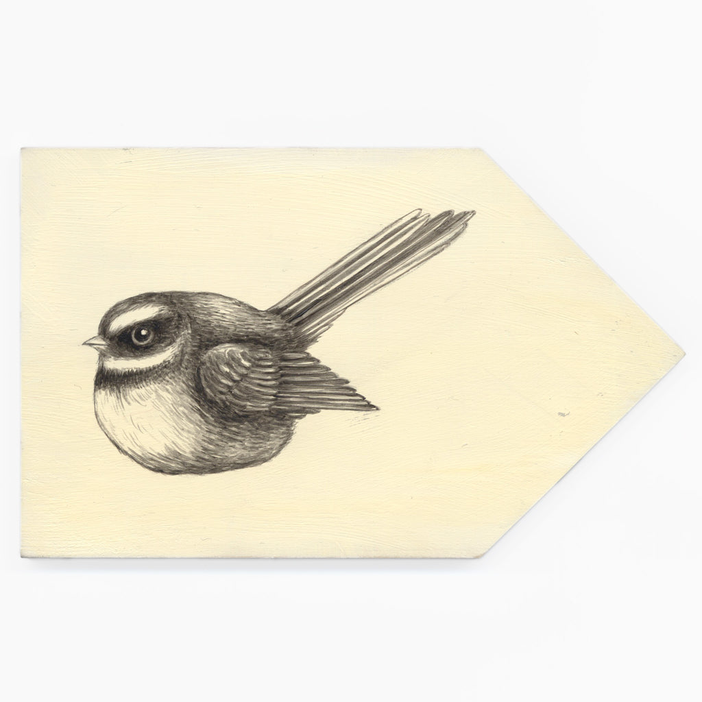 NZ Fantail / Piwakawaka #9 by Tabatha Forbes