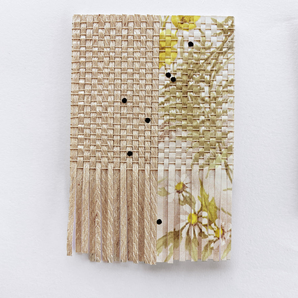 Untitled by Rebecca Thomson