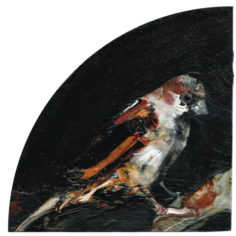 Sparrow Study 2 by Garth Steeper