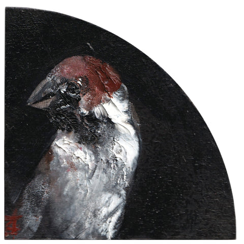 Sparrow Study 3 by Garth Steeper