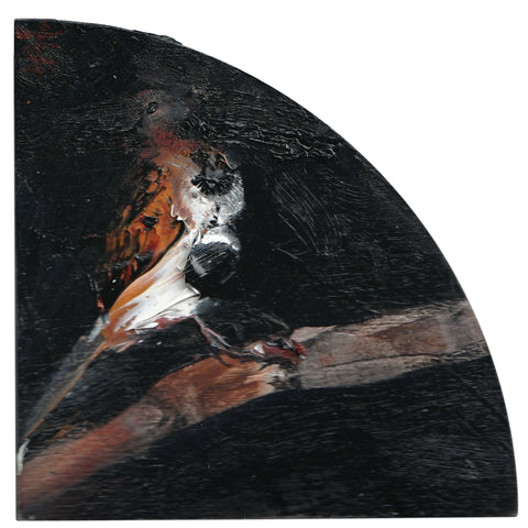 Sparrow Study 4 by Garth Steeper