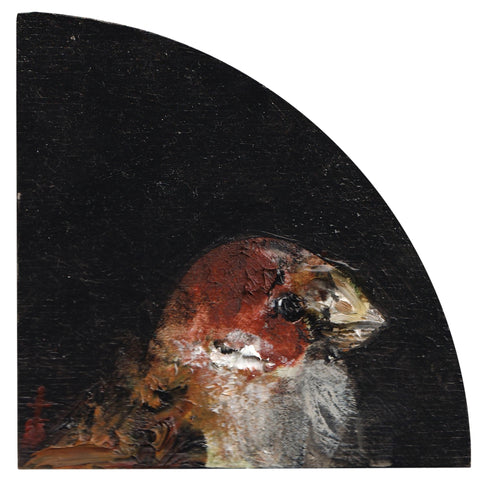 Sparrow Study 5 by Garth Steeper