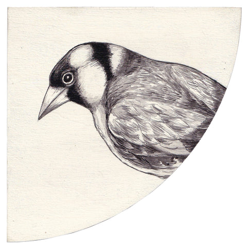 GOLDFINCH #1 by Tabatha Forbes