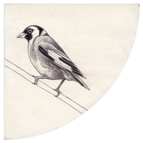 GOLDFINCH #2 by Tabatha Forbes