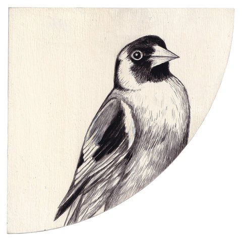 GOLDFINCH #3 by Tabatha Forbes