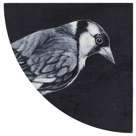 GOLDFINCH #6 by Tabatha Forbes