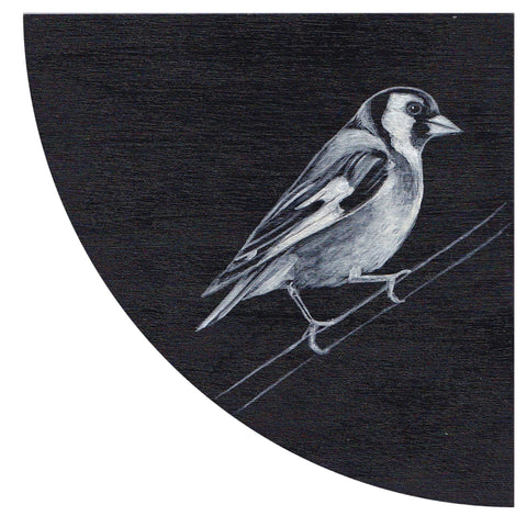 GOLDFINCH #7 by Tabatha Forbes