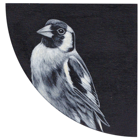 GOLDFINCH #8 by Tabatha Forbes