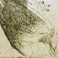 Buller's difficulty (framed) by Ben Reid