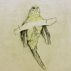 budgie smuggler (framed) by Ben Reid