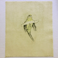 budgie smuggler by Ben Reid