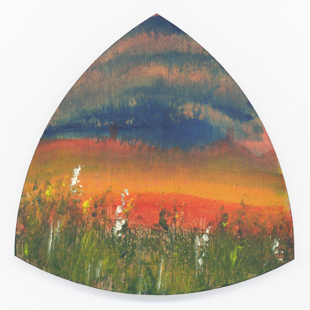 Landscape (alternate reality) by David Rimmer – Seed Gallery