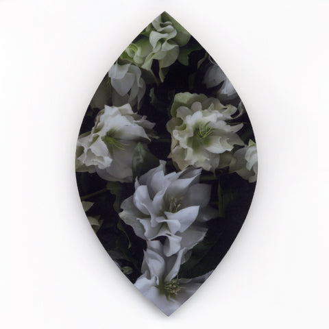 6. White Hellebores by Helen Bankers