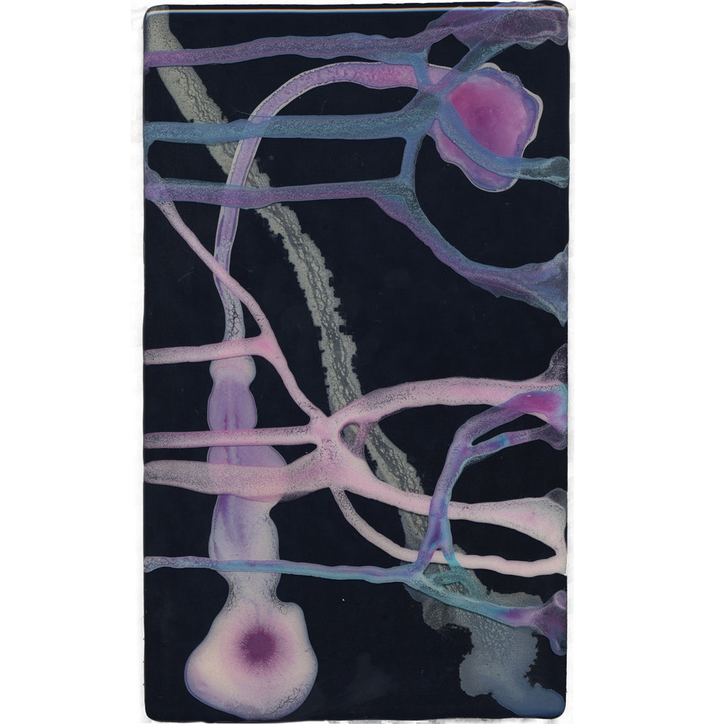 The molecular structure of beauty 12 by Holly Shepheard