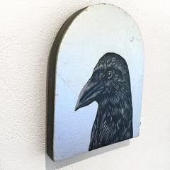 Crow 10 by John Appleton