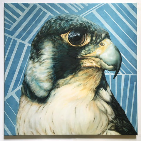 Blue Hawk by John Appleton