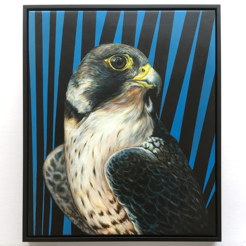 Hawk by John Appleton