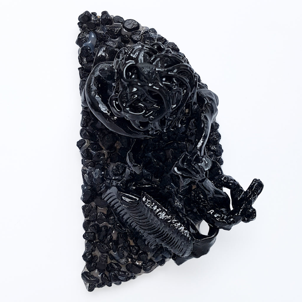 blackfish by Janna van Hasselt