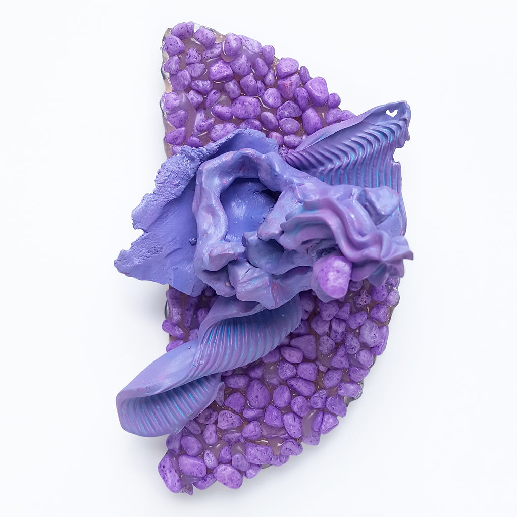 purplefish by Janna van Hasselt