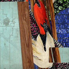 Salute by Janna van Hasselt & Rebecca Thomson