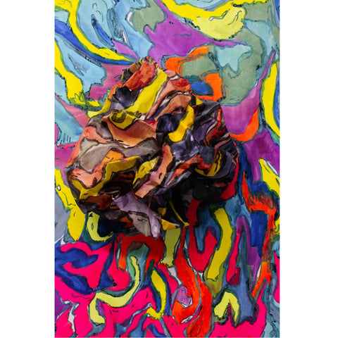 Pollychrome 3 by Janna van Hasselt
