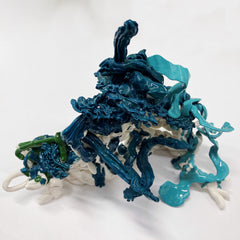 Aqua Flopper by Janna van Hasselt