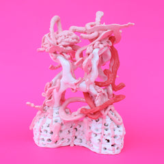 Pink Flopper by Janna van Hasselt