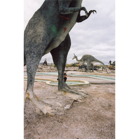 Tyrannosaurus Rex by Natasha Cantwell